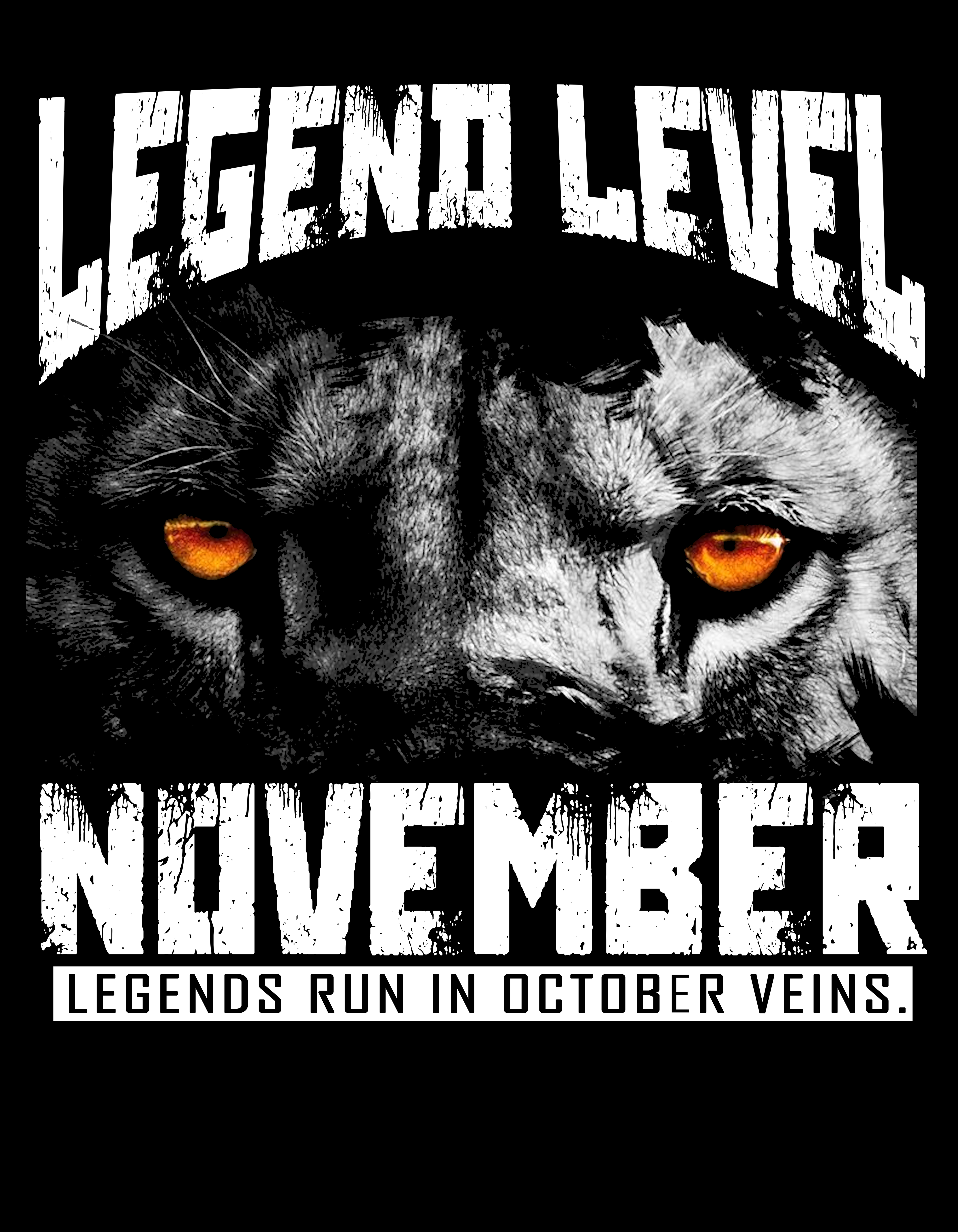 November Legend Level T-Shirt